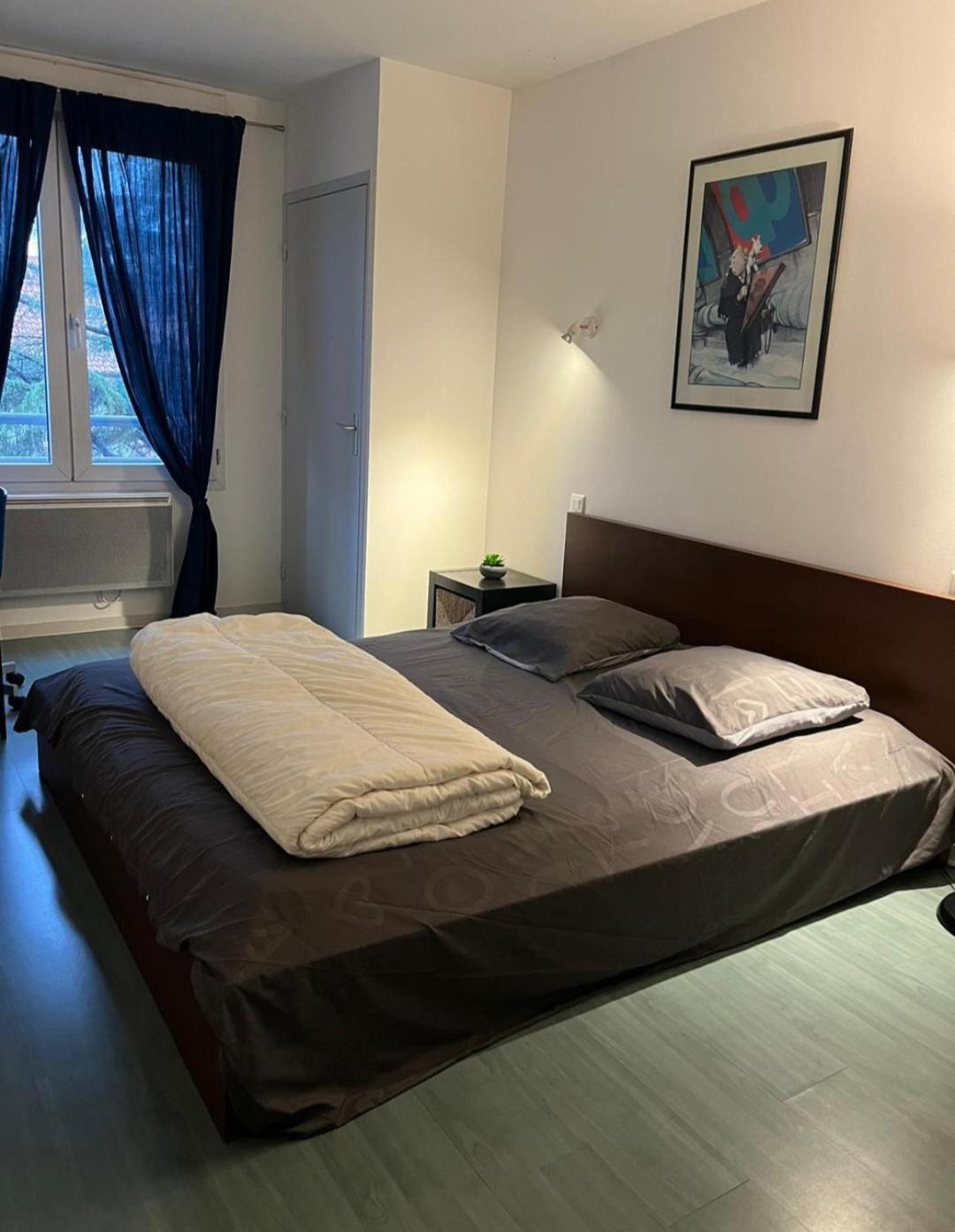 115 Rue Vauban Apartment Lyon Luaran gambar